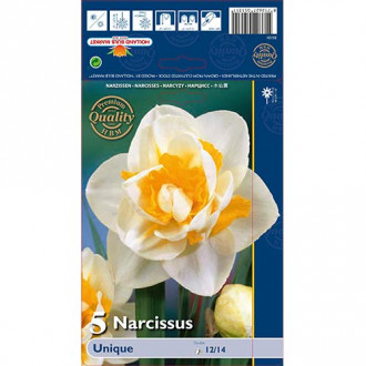 Narcyz pełny Unique interface.image 8