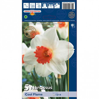 Нарцис Cool Flame изображение 17