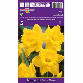 Нарцис Dutch Master изображение 3