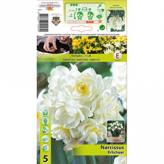 Нарцис Erlicheer изображение 6