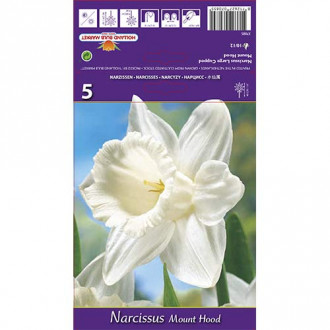 Нарцис Mount Hood изображение 2