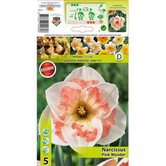 Нарцис Pink Wonder изображение 4