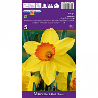 Нарцис Red Devon изображение 13