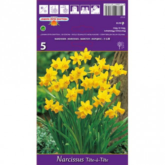 Нарцис Tete a Tete изображение 4