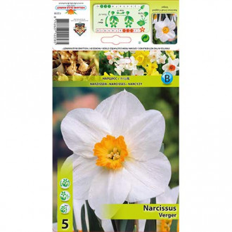 Нарцис Verger изображение 18