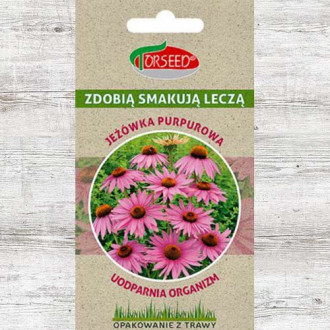 Nasiona Jeżówka purpurowa interface.image 13