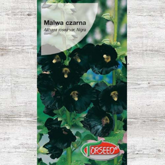 Nasiona Malwa czarna interface.image 12