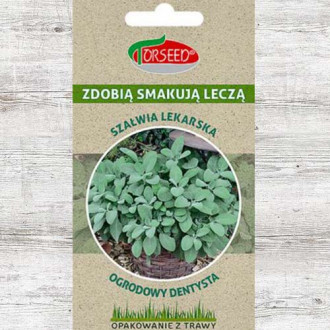 Nasiona Szałwia lekarska interface.image 16