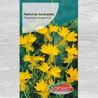 Nasturcja kanaryjska interface.image 8