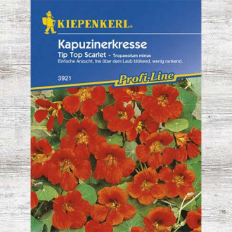 Nasturcja mniejsza Tip Top Scarlet interface.image 16