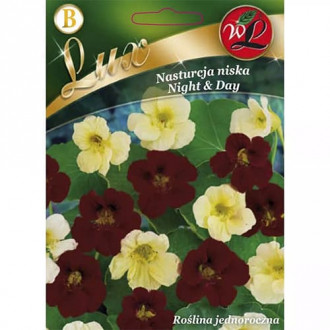 Nasturcja Night & Day, mix kolorow interface.image 14