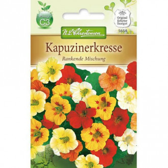 Nasturcja Rankende, mix kolorow interface.image 12