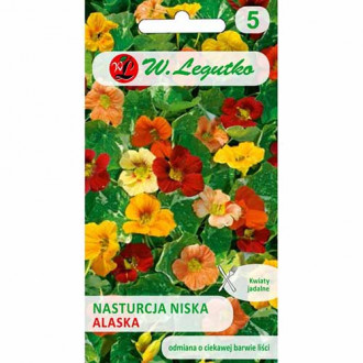 Condurul doamnei Alaska, mix multicolor imagine 4