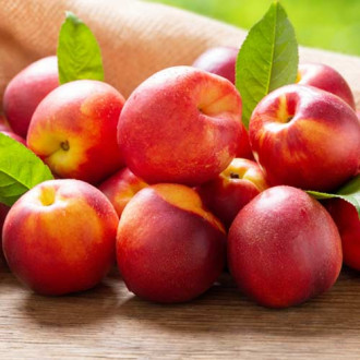 Nectarin Rafale imagine 18