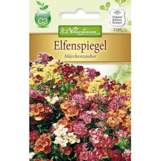 Nemesia strumosa, mix multicolor