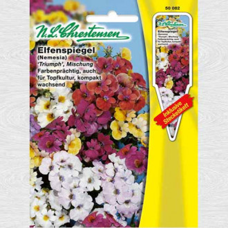 Nemesia strumosa Triumph, mix multicolor imagine 3