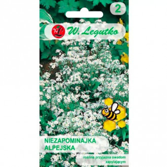 Незабравка алпийска бяла Legutko изображение 6