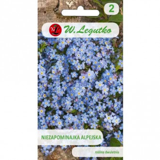 Незабравка алпийска синя Legutko изображение 7