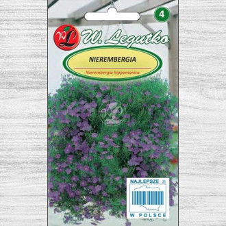 Nierembergia albastră Legutko imagine 1