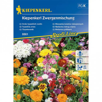 Ниски летни едногодишни цветя, смес изображение 14