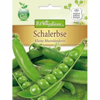 Грах Kleine Rheinlanderin изображение 1