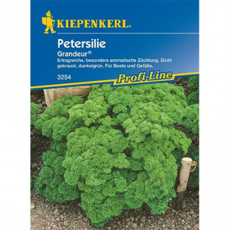 Обикновен магданоз Grandeur (Moskrul 2) изображение 13