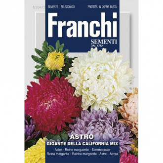 Ochiul boului Gigant de California, mix multicolor imagine 3