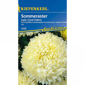 Ochiul boului Lady Carol Yellow Kiepenkerl imagine 14