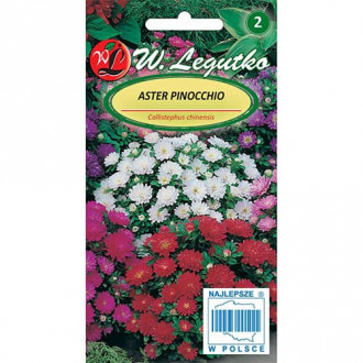 Ochiul boului Pinocchio, mix multicolor imagine 6