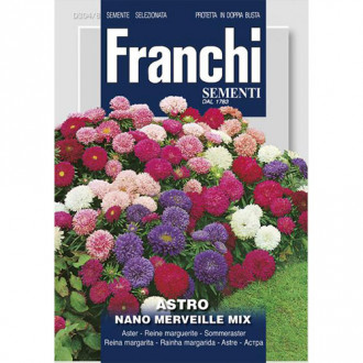 Ochiul boului pitic Minune, mix multicolor imagine 7