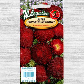 Ochiul boului pompon roșu imagine 11