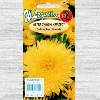 Ochiul boului prince galben Legutko imagine 11