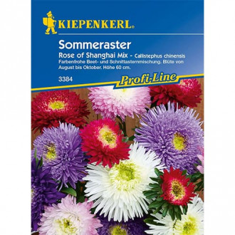 Ochiul boului Rose of Shanghai imagine 15