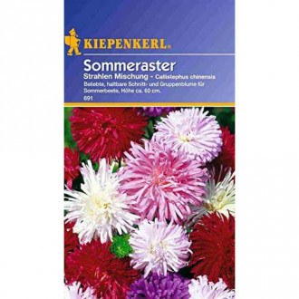 Ochiul boului Shine, mix multicolor Kiepenkerl imagine 13