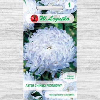 Ochiul boului tip bujor alb-albastru Legutko imagine 10