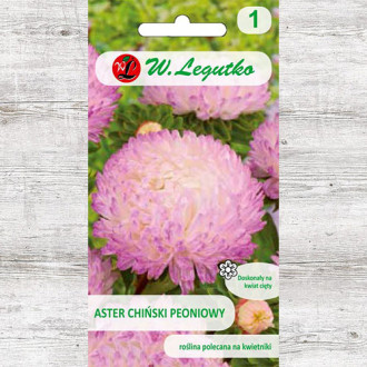 Ochiul boului tip bujor alb-roz Legutko imagine 18