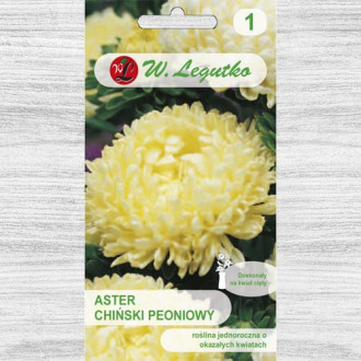 Ochiul boului tip bujor galben Legutko imagine 17