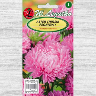 Ochiul boului tip bujor roz Legutko imagine 15