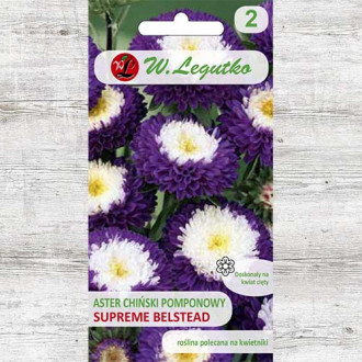 Ochiul boului tip pompon Belstead Supreme Legutko imagine 14