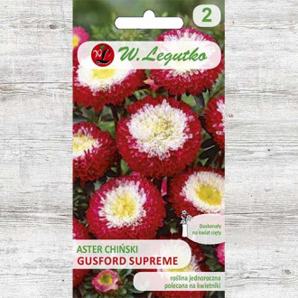 Ochiul boului tip pompon Gusfor Supreme Legutko imagine 5