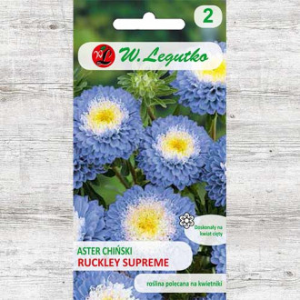 Ochiul boului tip pompon Ruckley Supreme Legutko imagine 14