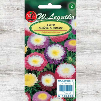 Ochiul boului tip pompon Supreme, mix multicolor Legutko imagine 7