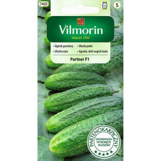 Ogórek gruntowy Partner F1 Vilmorin interface.image 16