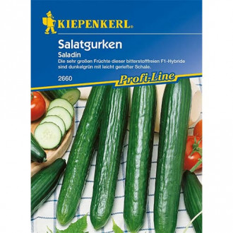 Ogorek Saladin F1 interface.image 15
