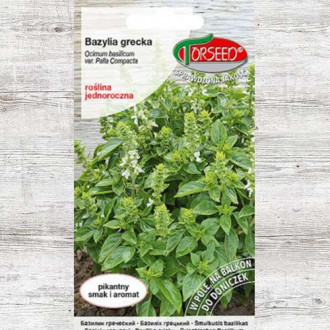 Oregano greckie, nasiona interface.image 5