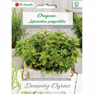 Oregano interface.image 15