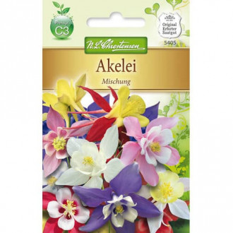 Orlik (Aquilegia), mix kolorow interface.image 1
