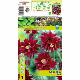 Orlik Red interface.image 9