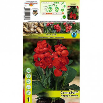 Paciorecznik (Canna) Happy Carmen interface.image 7