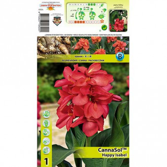 Paciorecznik (Canna) Happy Isabel interface.image 3